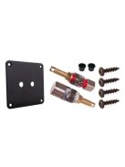 Terminal plate black anodized Al 100/100/3mm + pair of binding posts gold-nickel
