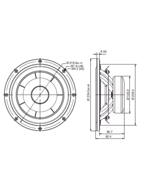 SB23NBACS45-4 ohm 8" mélysugárzó 45mm VC