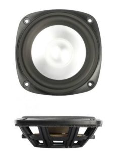 SB12PAC-00 passive radiator