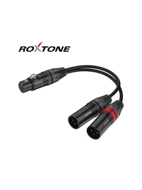 RA3DT-X5MXF két csatornás sztereo izolátor