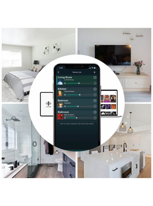 Up2Stream Mono Amplifier Module WiFi Bluetooth 5.0