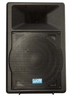 Castone SUP-8 2 utas PA hangfal, 100W