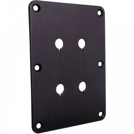 DBPP-BK Double Binding Post Plate Black Anodized