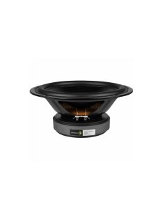DS270-8 10" Designer Series Woofer Speaker