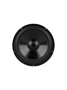 DS270-8 10" Designer Series Woofer Speaker