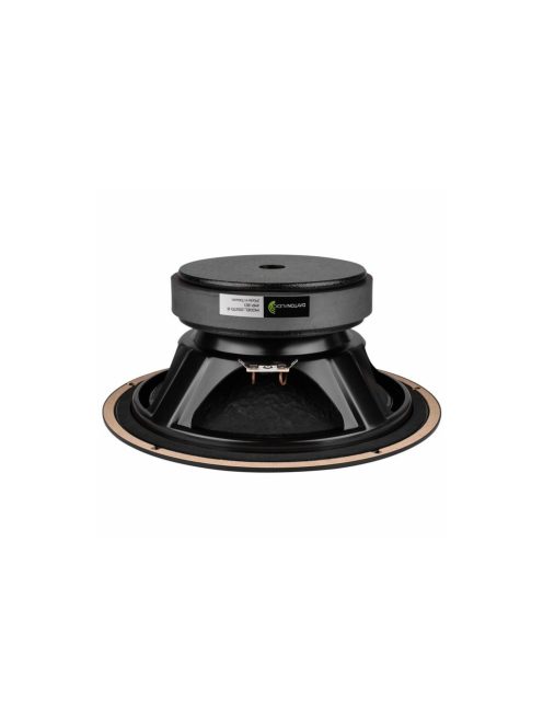 DS270-8 10" Designer Series Woofer Speaker