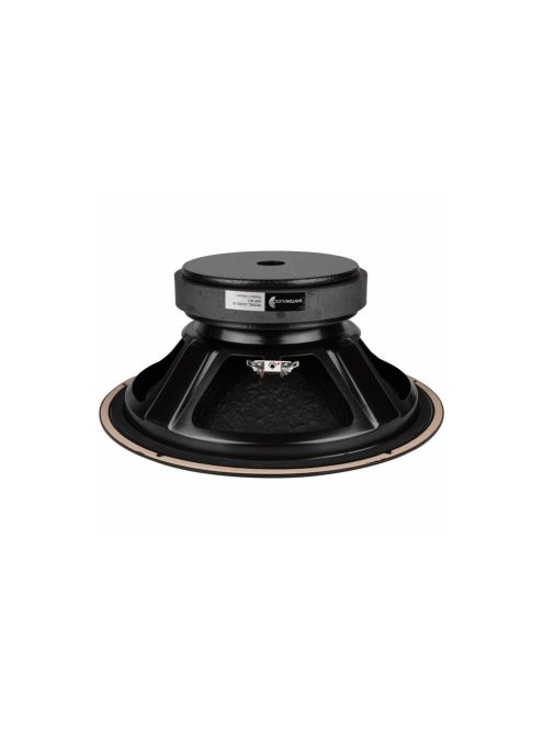 DS315-8 12" Designer Series Woofer Speaker