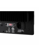 SPA250 250 Watt Subwoofer Plate Amplifier