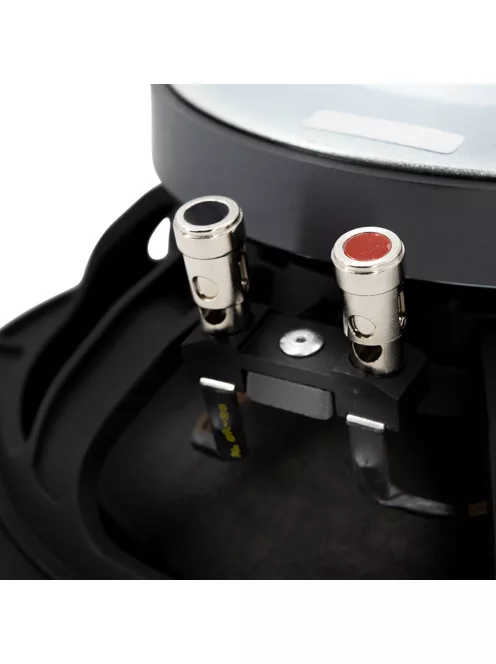 FaitalPRO 10RS350-4P 10" Subwoofer 4 Ohm