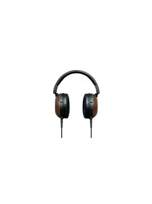 FOSTEX TH-610