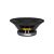 12PT-8 12" Paper Cone Professional Woofer with 3" Voice Coil 8 Ohm