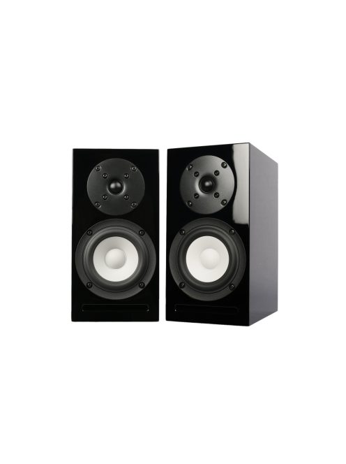 SB Acoustics MICRO-C Black High-Gloss Complete Speaker Kit
