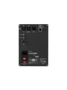 PWR-ICE125 2x125 Watt DSP ICEpower Plate Amplifier
