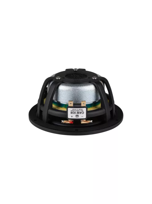 Classic Advanced CAW 538 5" Woofer