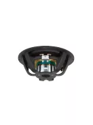 CAW938 9" Cast Frame Woofer