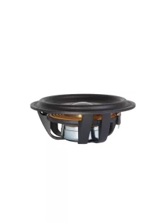 TSCW938 Subwoofer