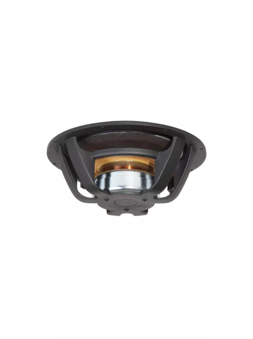 TSCW938 Subwoofer