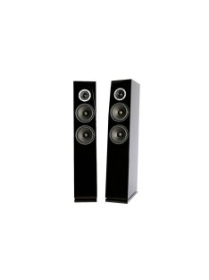 SB Acoustics RINJANI Black High-Gloss Complete Speaker Kit