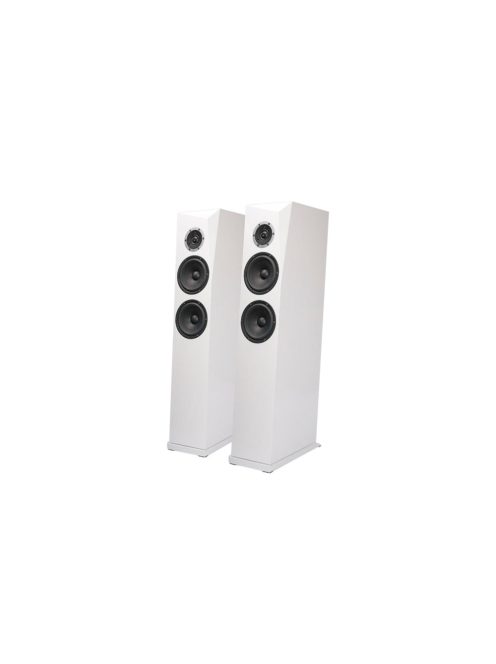 SB Acoustics RINJANI White High-Gloss Complete Speaker Kit