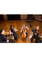 RODE M5-MP Kompakt kondenzátor stúdió és hangosítási ceruza mikrofon