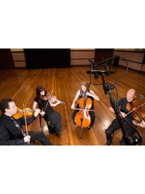 RODE M5-MP Kompakt kondenzátor stúdió és hangosítási ceruza mikrofon