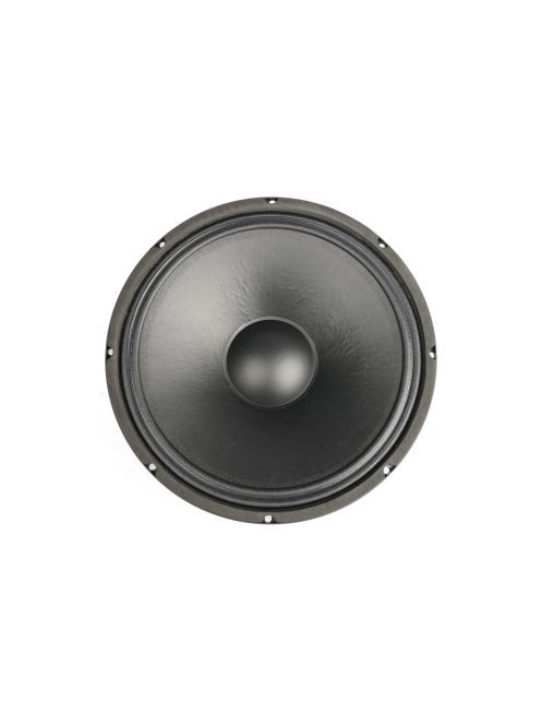 BIANCO-12MW200 Mid-range Woofer