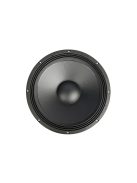 BIANCO-18SW450 Subwoofer