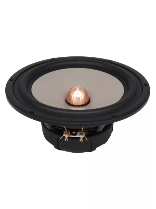 SEAS Excel W22EX/001 - E0022 8" Magnesium Cone Woofer