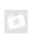 SICA LP 53x58.28/N20 TW Dome Tweeter