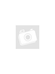 SICA LP 53x58.28/N20 TW Dome Tweeter