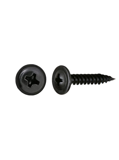 4.2 mm x 25.4 mm Phillips Truss Head Screw