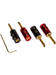   BFA Style Banana Plugs Â with Dual Set Screws and Poly Carbonate Shell 2 Pair