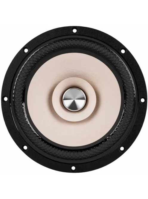 W8-2145 8" Paper Cone Full Range Driver 8 Ohm